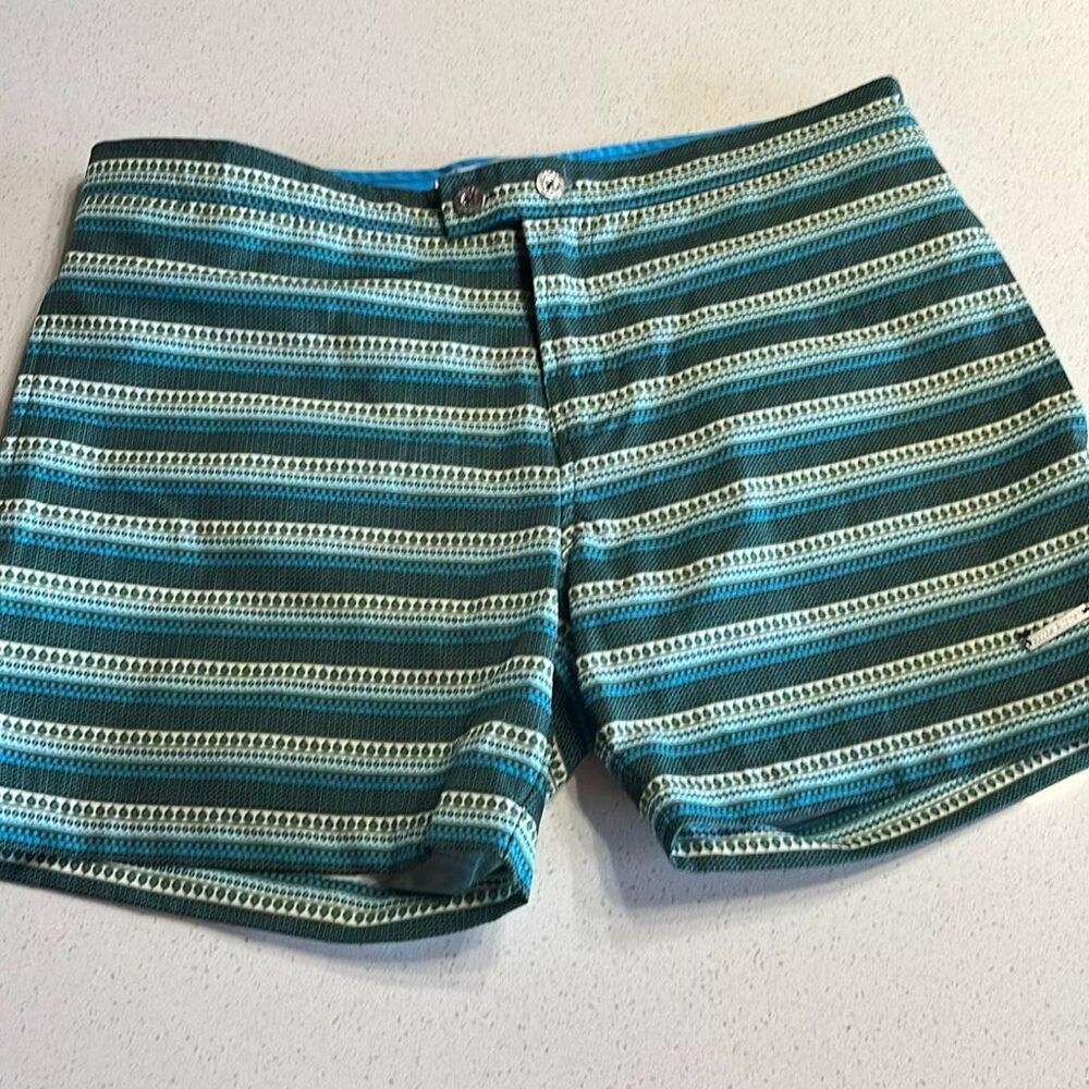 Parke & Ronen Swim Trunks Shorts Mens 30 Green Blue Geometric Stripe Mesh Lined